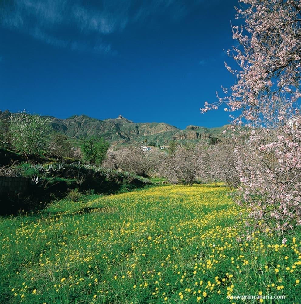 Cortijo San Ignacio Hotell El Cortijo  Eksteriør bilde